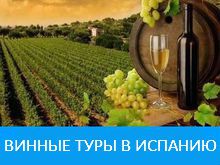 Винные туры в Испанию